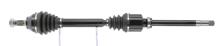 CEVAM 50179