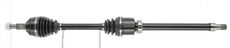 CEVAM 50186