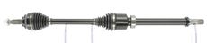 CEVAM 50188