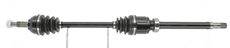 CEVAM 50194