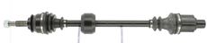 CEVAM 50196