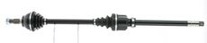 CEVAM 50216