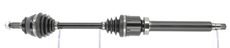 CEVAM 50222