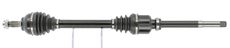CEVAM 50256