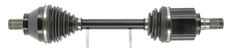 CEVAM 50261