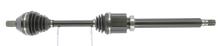 CEVAM 50262