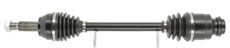 CEVAM 50266