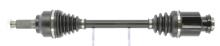 CEVAM 50272