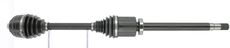 CEVAM 50288