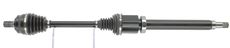 CEVAM 50298