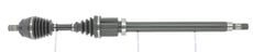 CEVAM 50302