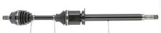 CEVAM 50304