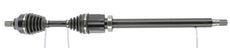 CEVAM 50316