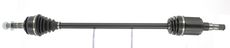CEVAM 50336