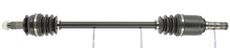 CEVAM 50339