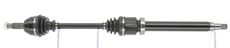 CEVAM 50356