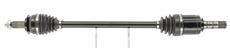 CEVAM 50359
