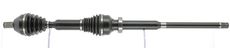 CEVAM 50428