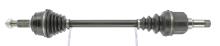 CEVAM 50429