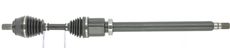 CEVAM 50434