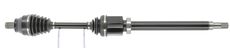CEVAM 50442