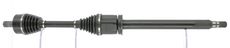 CEVAM 50446