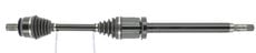 CEVAM 50448