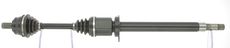 CEVAM 50452