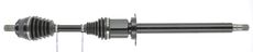 CEVAM 50456
