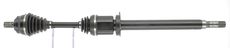 CEVAM 50458