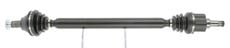 CEVAM 50466