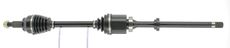 CEVAM 50512