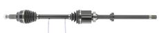 CEVAM 50522