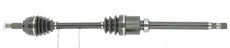 CEVAM 50528