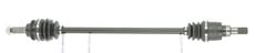 CEVAM 50534Z