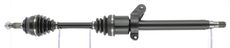 CEVAM 50538