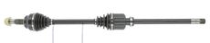 CEVAM 50554