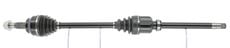 CEVAM 50568