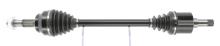 CEVAM 50571