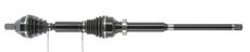 CEVAM 50579