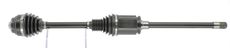 CEVAM 50586