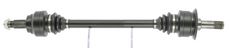 CEVAM 50591