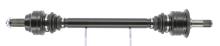 CEVAM 50593
