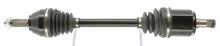 CEVAM 50597