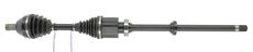 CEVAM 50599