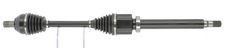 CEVAM 50626