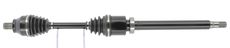 CEVAM 50628