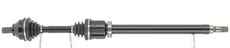 CEVAM 50668