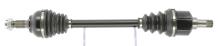 CEVAM 50697