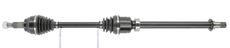 CEVAM 50736